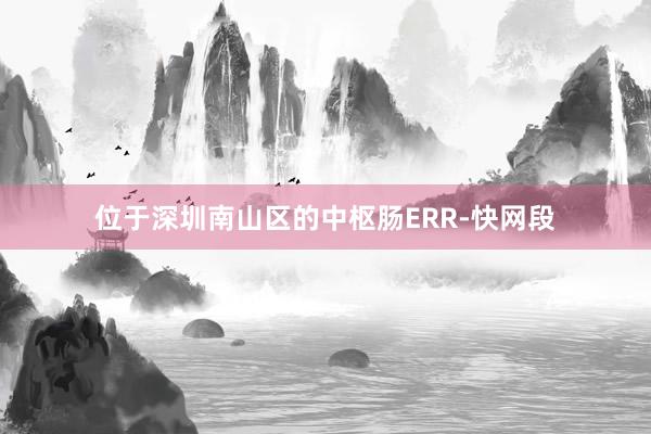 位于深圳南山区的中枢肠ERR-快网段
