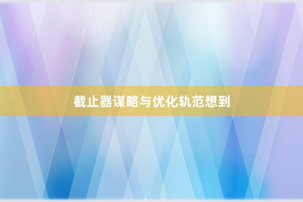 截止器谋略与优化轨范想到