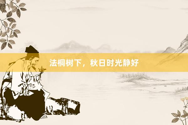 法桐树下，秋日时光静好