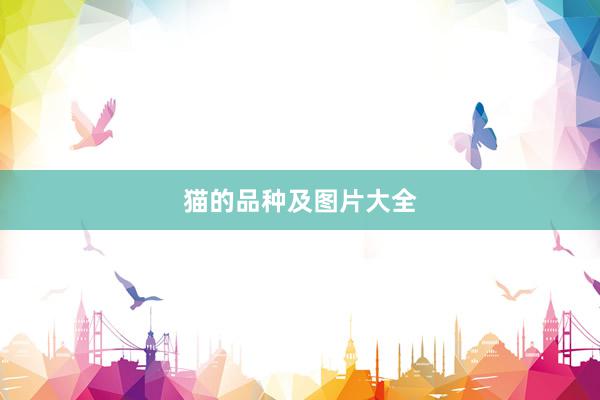猫的品种及图片大全